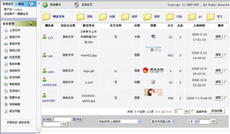 天照科技 上海網(wǎng)站建設(shè)與軟件設(shè)計的一站式解決方案