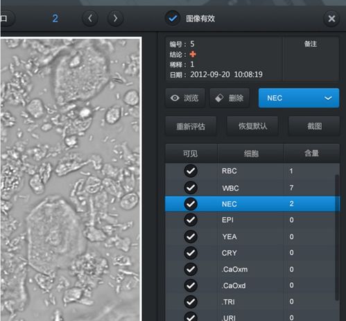 醫療系統UI界面設計 重塑醫患體驗的關鍵